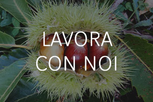 Lavora con Noi