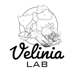Logo veliniaLab