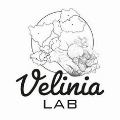 Logo VeliniaLab